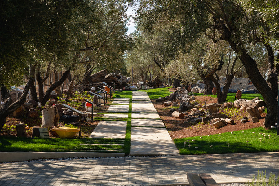 rTfYYL8S_dirfis_manitaria_02 (1) (1).jpg